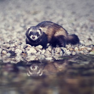 Sponsoři / Sponsors