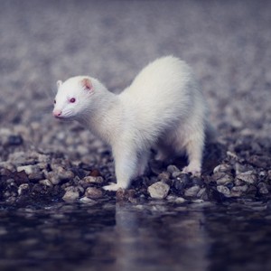 Základní informace / Information